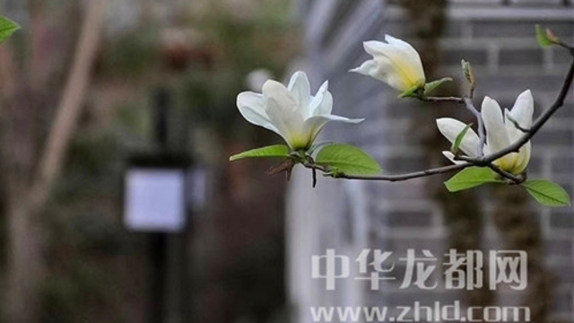 淮陽(yáng)蓮舍，多了一份味道