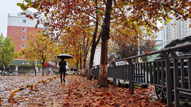雨中周口，別有一番韻味